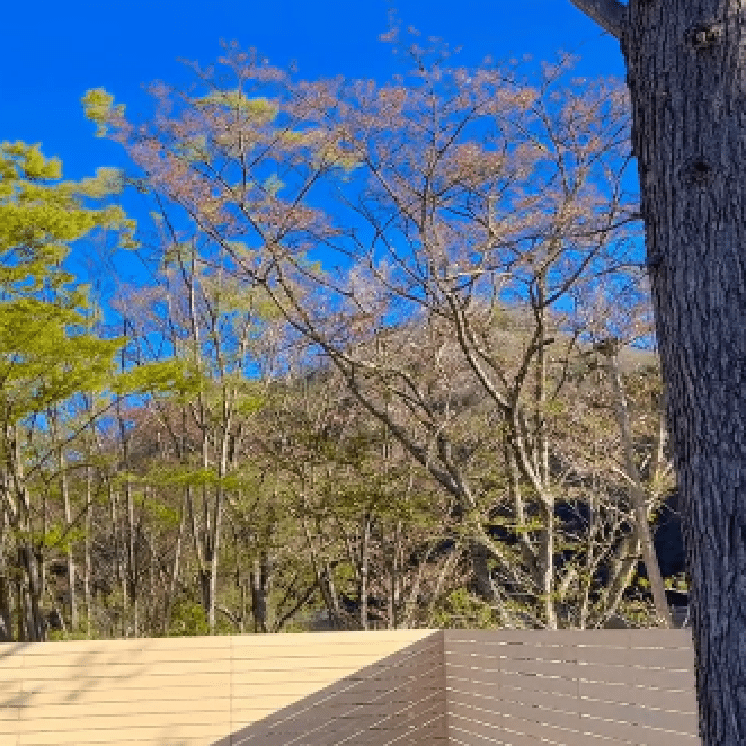 画像：サムネイル